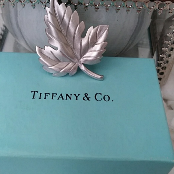 Tiffany & Co. Jewelry - TIFFANY & CO STERLING SILVER PIN